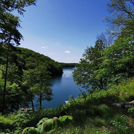 Appartamento Tweet Tohuus Feldberger Seenlandschaft Esterno foto