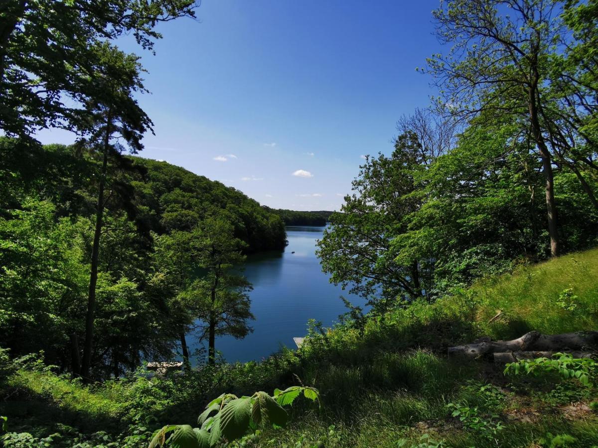 Appartamento Tweet Tohuus Feldberger Seenlandschaft Esterno foto