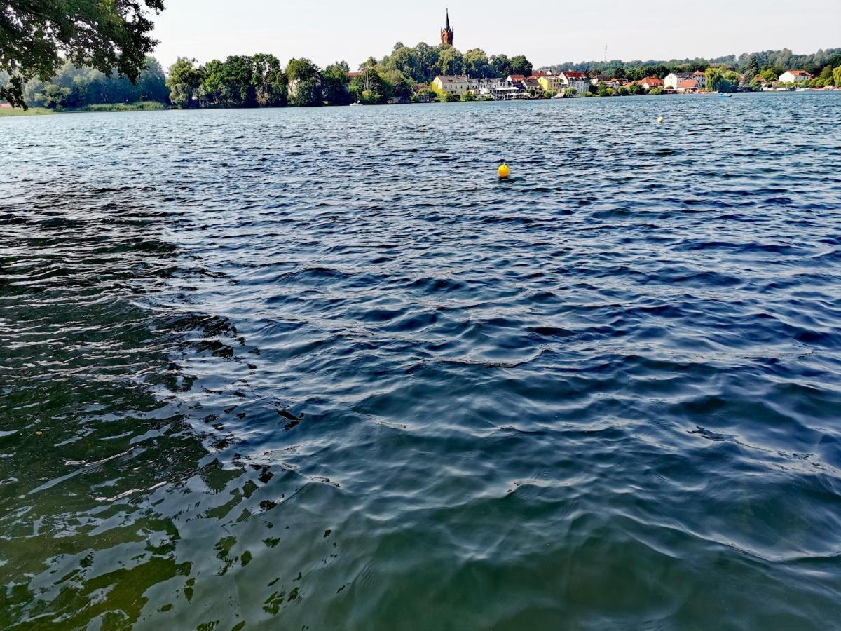 Appartamento Tweet Tohuus Feldberger Seenlandschaft Esterno foto