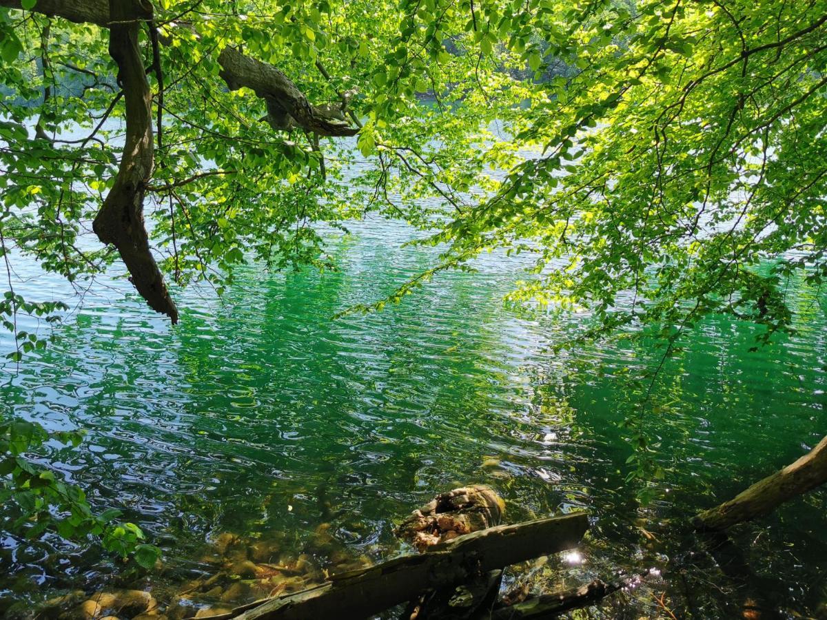 Appartamento Tweet Tohuus Feldberger Seenlandschaft Esterno foto